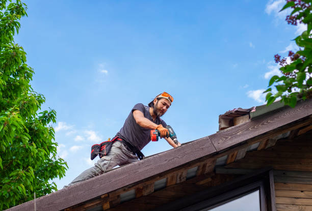 Best Storm Damage Roof Repair  in Hays, MT